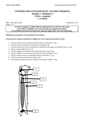 Annales L S Sujet D Examen Staps L Ufr Staps Dijon Ann E