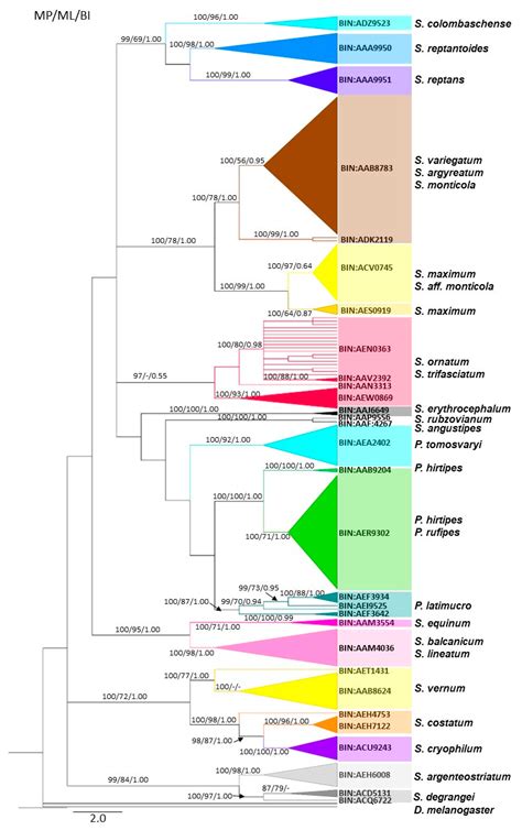 Diversity Free Full Text Dna Barcoding Of Black Flies Diptera