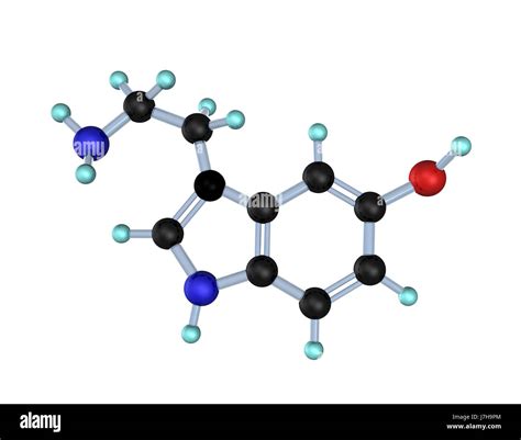 Serotonin Hormone Neurotransmitter Molecule Hi Res Stock Photography