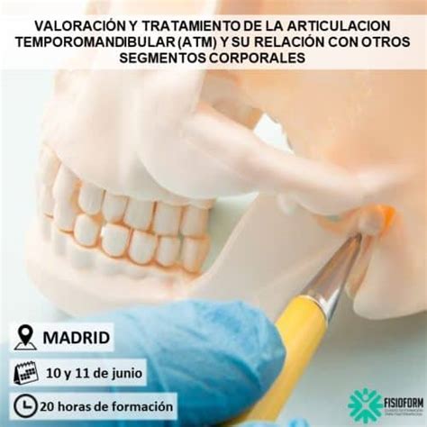 Curso Valoración y Tratamiento de la ATM en Madrid Fisioform Cursos