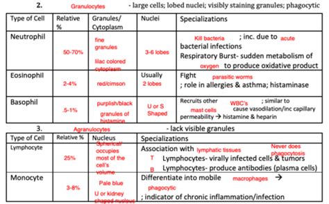 Ch 17 & 18 Lec Exam Flashcards | Quizlet 