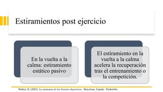 Presentacion Sobre Los Estiramientos De Miembro Inferior PPT