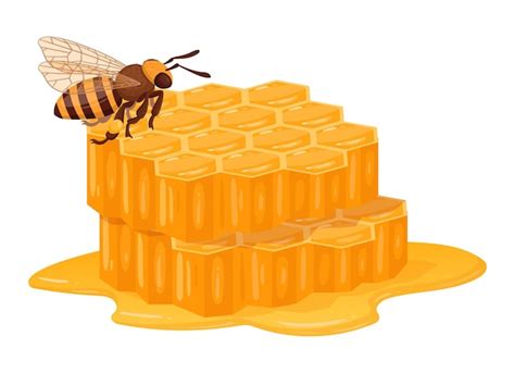 Premium Vector | Honey bee with honeycomb cartoon sweet melting honey honeycraft and beekeeping ...