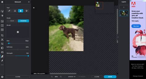 How To Blur Parts Of An Image For Free Online 5 Tools