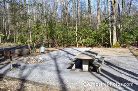 Roan Mountain State Park - Campsite Photos & Reservations