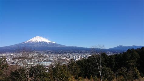 ふじざくランニング 2021年1月