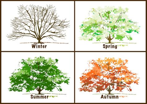 Enhance Your Designs With Seasons Cliparts