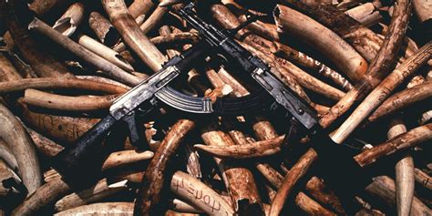 AK-47 History - C.J. Chivers The Gun Excerpt