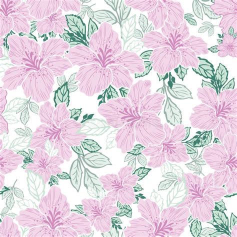 Cor De Rosa Flor Púrpura Verde Folha Branca Fundo Branco Impressão