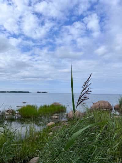 Parco Nazionale Di Lahemaa Escursione Di Un Giorno Getyourguide