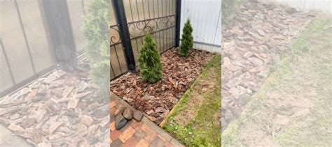 Кора сосновая для мульчирования купить во Владимире | Товары для дома и ...