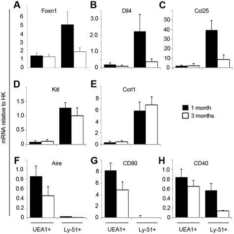 Changes In Gene Expression With Age A H Graphs Show Rt Qpcr Analysis