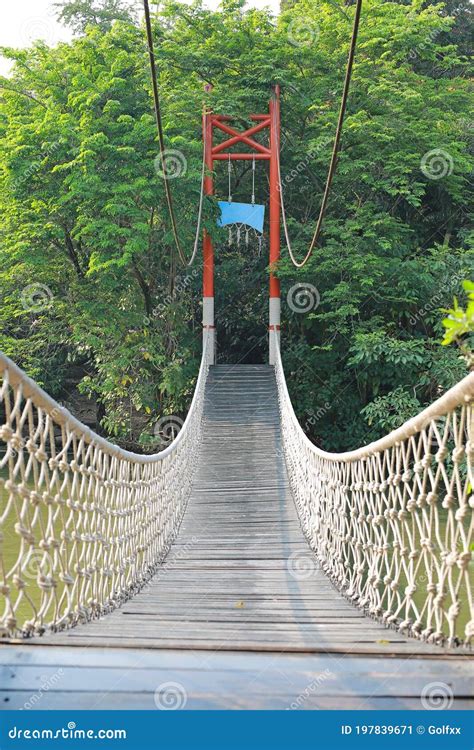 Adventure Wooden Rope Jungle Suspension Bridge Stock Image