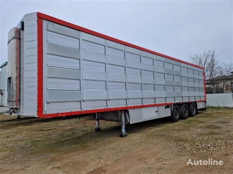 Pezzaioli Sba Livestock Semi Trailer For Sale Ukraine Borodyanskiy