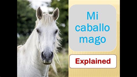 Mi Caballo Mago Explained Youtube