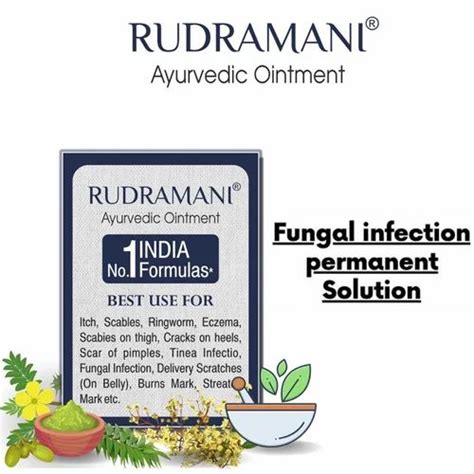 Fungal Infection Treatment Rudramani Ointment 25GM At Rs 100