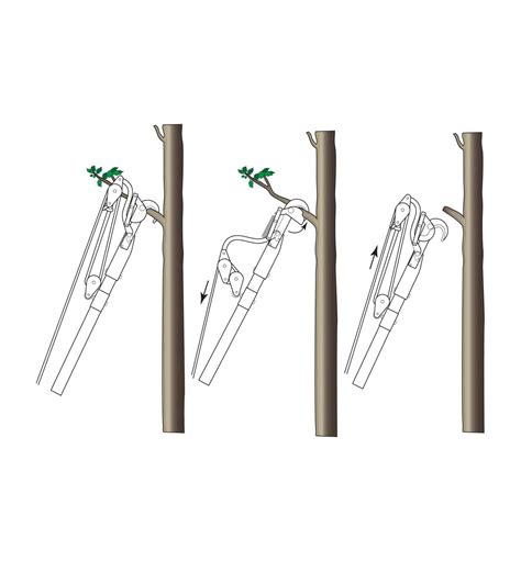 Jameson Professional Tree-Pruning Kit - Lee Valley Tools