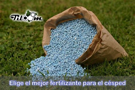 Elegir El Mejor Fertilizante Para Césped