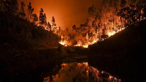 Waldbrände in Portugal Angst vor der nächsten Katastrophe