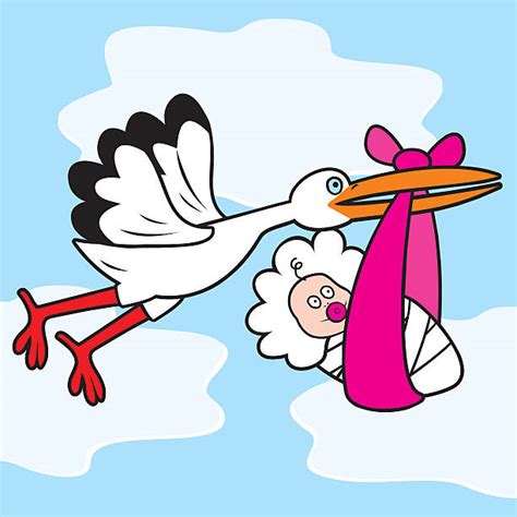 40+ Stork Baby Girl Clip Art Stock Illustrations, Royalty-Free Vector ...