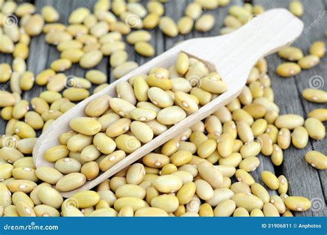 Peruvian Canary Peruano Beans Stock Image Image Of Beans Peruvian