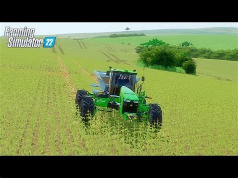 Colheita Do Feij O Fs Mapa Santa Am Lia Fs Farming Simulator