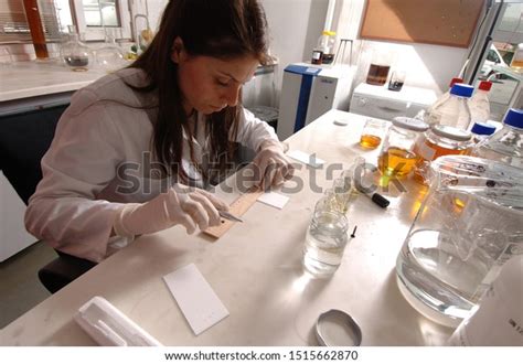 9 Marmara University Scientist Images, Stock Photos & Vectors | Shutterstock