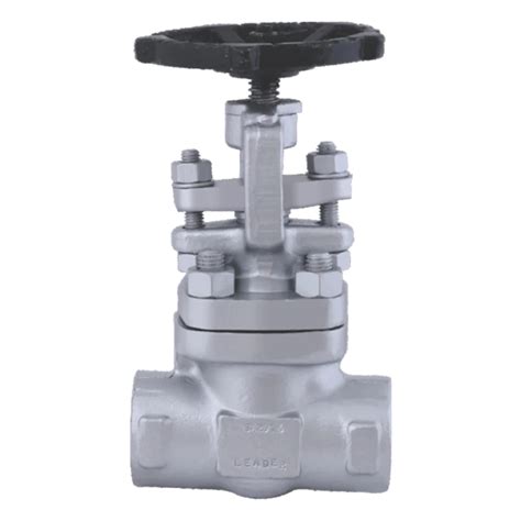 Fcs Forged Steel Globe Valve Socket Weld Screwed Valve Size