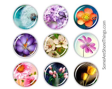 Magnets Flower Magnet Set Of 9 Spring Flower Photos Etsy In 2021