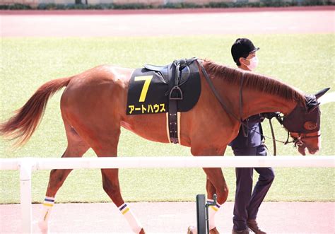 【中山牝馬s（g3）展望】大本命アートハウスに「凡走」の法則 立場一変で連覇狙うクリノプレミアムも雲行き怪しいハンデ戦 Gj