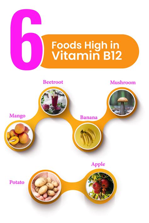 Top 6 Foods High In Vitamin B12