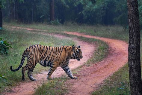 Golden Triangle Tour With Tiger Safari Golden Triangle With Ranthambore