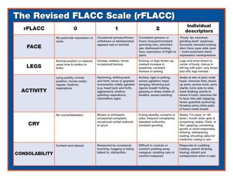 Flacc Pain Scale Chart Printable