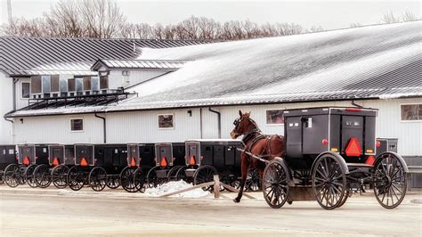 Amish Buggy Parking Photograph By Susan Rissi Tregoning Pixels