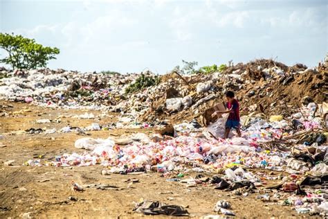 Pemkot Makassar Olah Sampah Organik Dengan Lalat Hitam