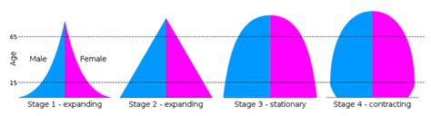 Basic Age Structure Diagram Age Structure Diagram Types