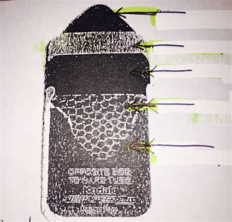 Chapter 21 Flashcards | Quizlet