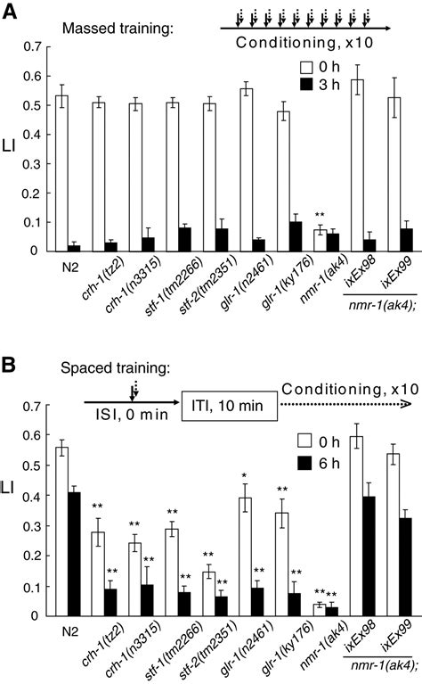 Aversive Olfactory Learning And Associative Long Term Memory In