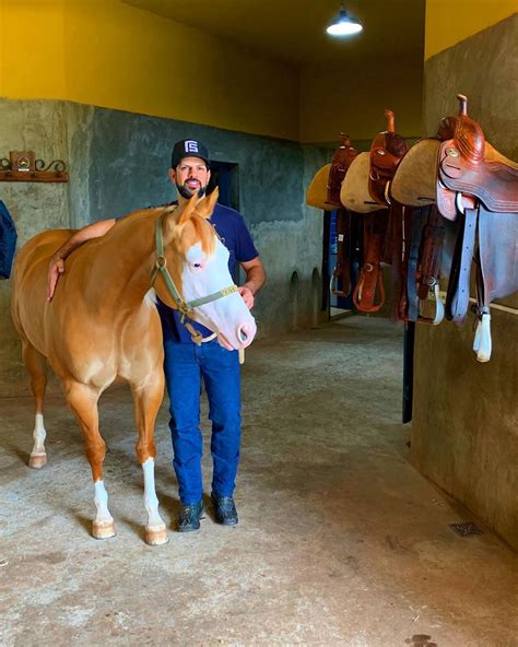 Cantor Sorocaba Celebra Pelagem Rara De Cavalo Comprerural