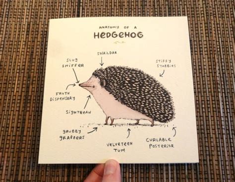 Anatomy Of A Hedgehog Card