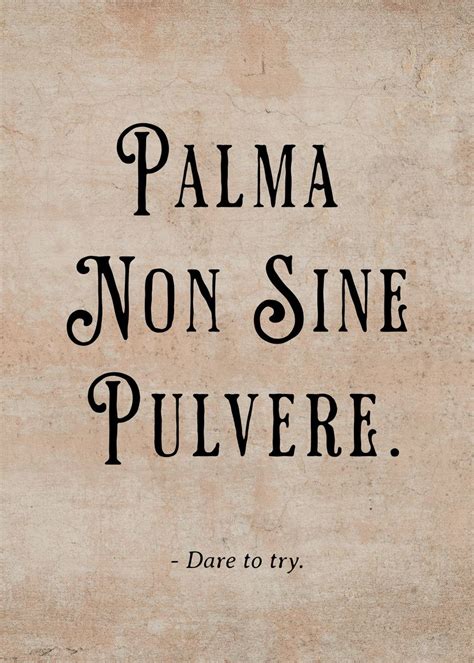 Latin Quote Dare To Try Poster By Jovana Displate