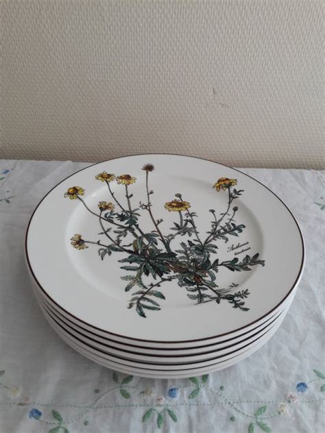 Villeroy And Boch Botanica 6 Assiettes Plates Porcelaine Catawiki