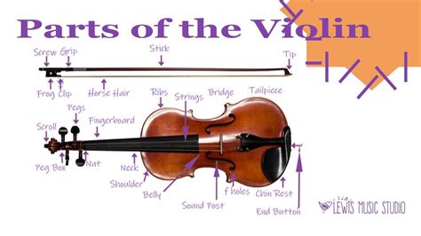 Violin Parts Diagram