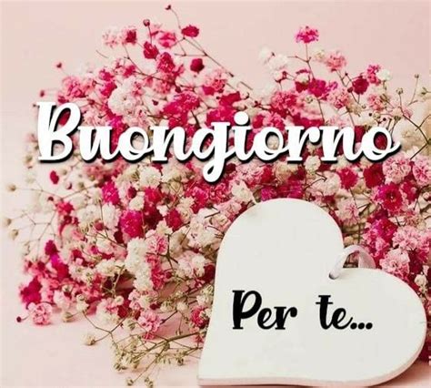 Pin Di Manuela Elena Su Messaggio Per Te Buongiorno Immagini