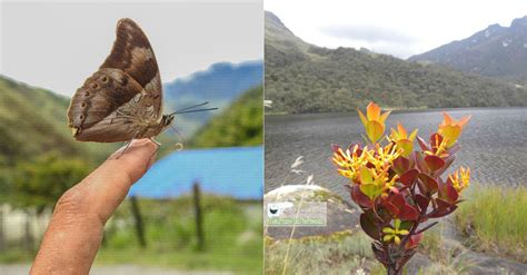 La belleza por mostrar del Cañón de las Hermosas Un gran destino de