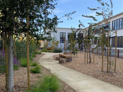 National Schoolyard Forest System℠ — Green Schoolyards America