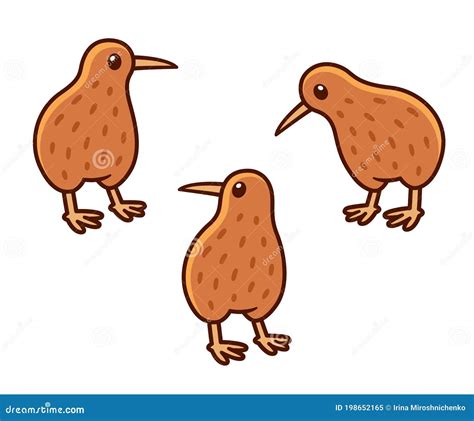 Cute kiwi bird drawing stock vector. Illustration of fauna - 198652165