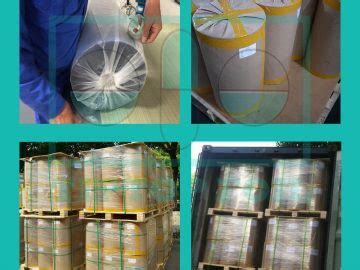 PVC PVDC Better Barrier 2 Layer Thermoformable Blister Film Tigers