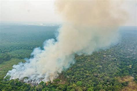 Emissão de gases do efeito estufa por queimadas na Amazônia cresce 60