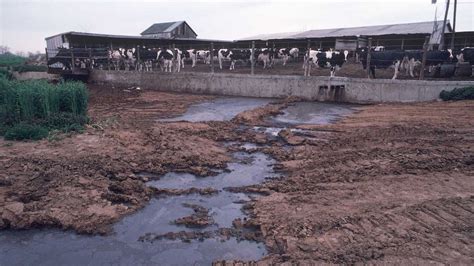 Какие разновидности загрязнения воды существуют?